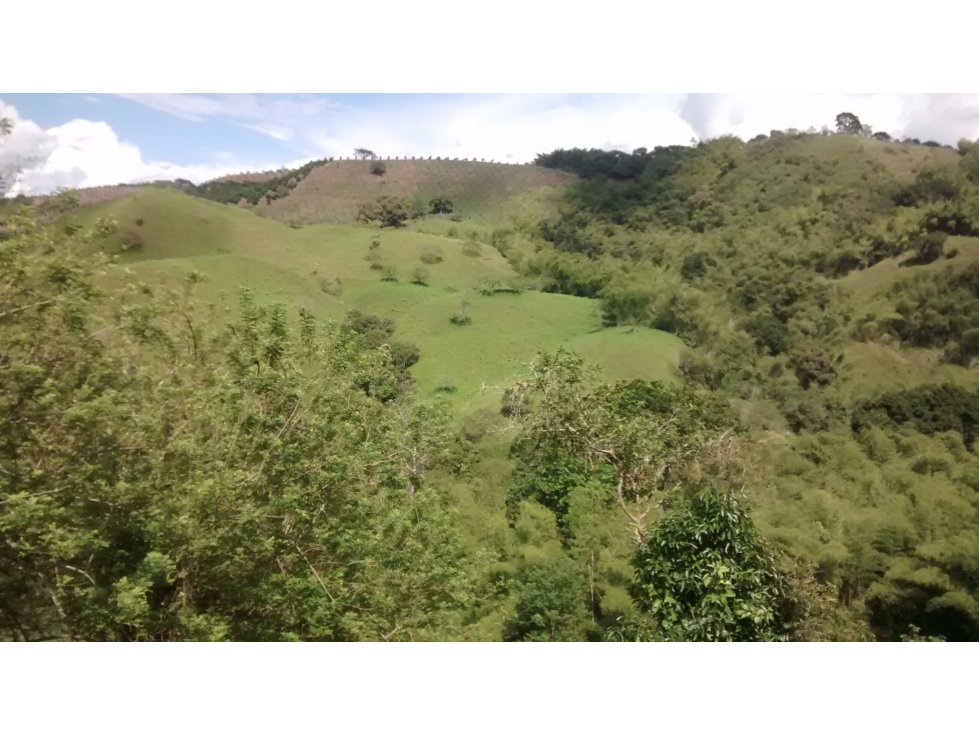 Finca en venta, en Quimbaya, Q.