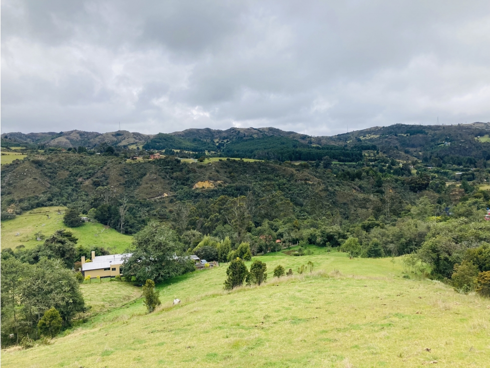 VENDO ESPECTACULAR LOTE DE 1 HECTAREA EN EL HATO K7 VÍA LA CALERA