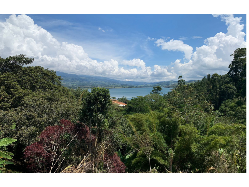 VENTA DE LOTE EN EL LAGO CALIMA