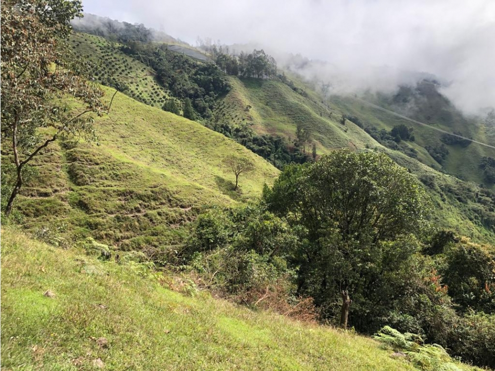 Finca Abejorral, Antioquia - Se Vende