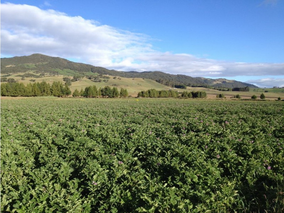 Finca en venta Ubicado en Zipaquira