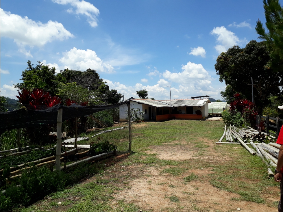 VENTA FINCA DE 35.2 HECTÁREAS EN SAN ROQUE ANTIOQUIA