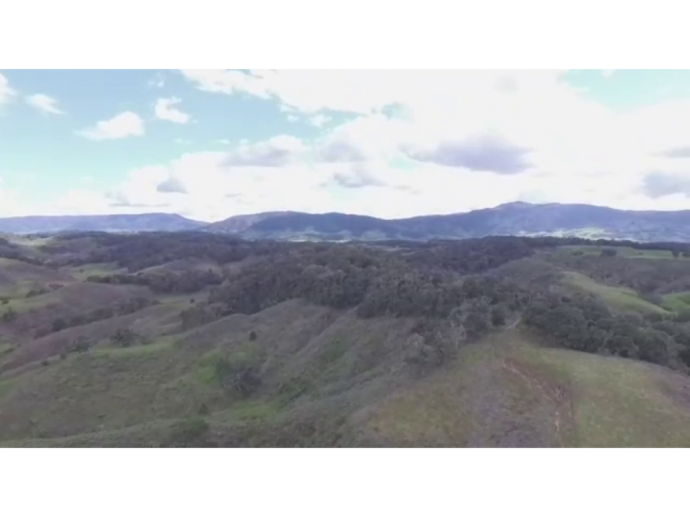 Finca de trabajo en venta en Los Llanos de Cuibà