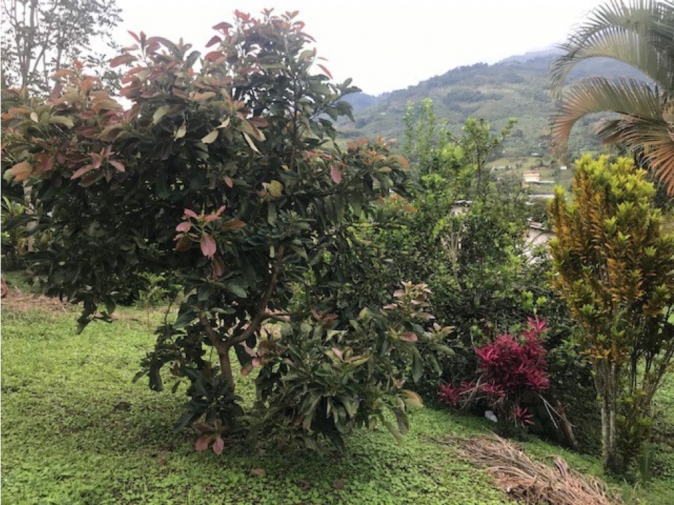 Finca  VENTA  a 10 minutos de Sonso Guacari  Valle