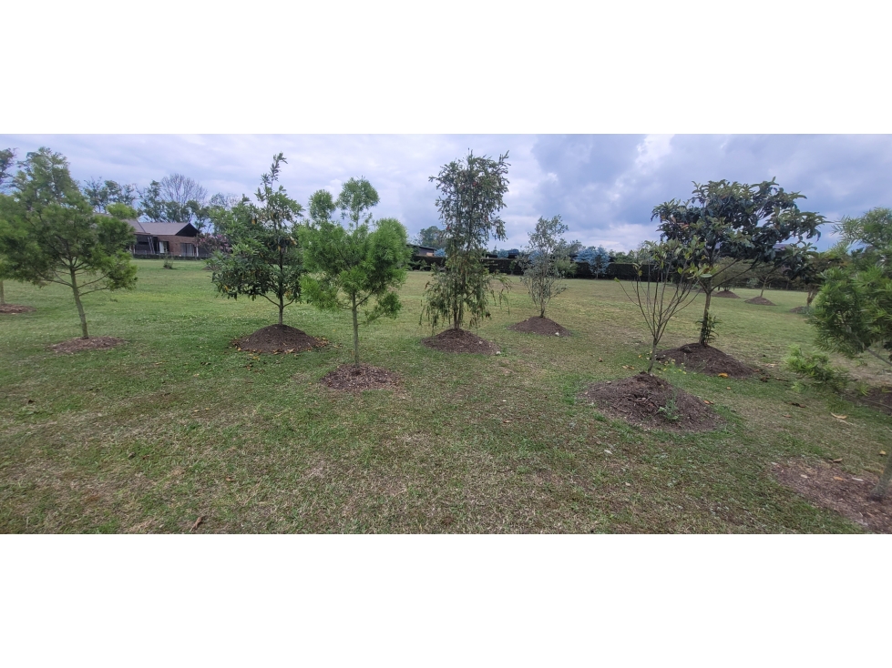 LOTE EN VENTA PARCELACION LLANOGRANDE RIONEGRO