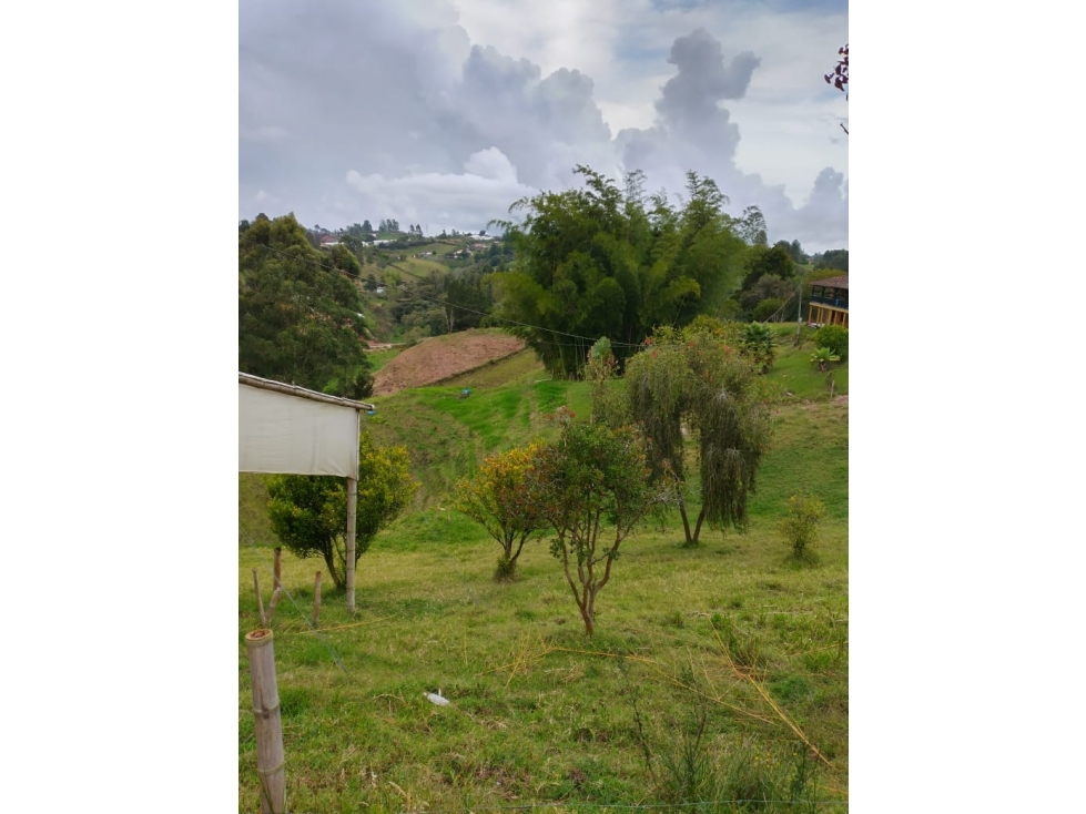 FARM FOR SALE / MARINILLA