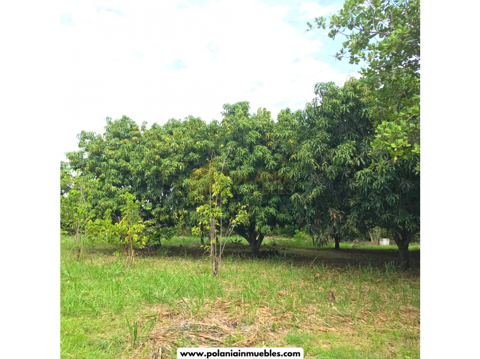 Venta de lote en los Ocobos - Rivera, Huila