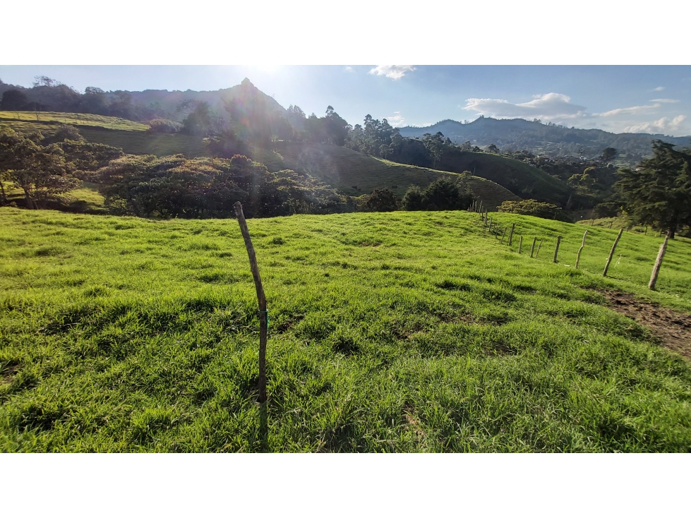 VENTA DE LOTE #2 PONTEZUELA, RIONEGRO ANTIOQUIA 