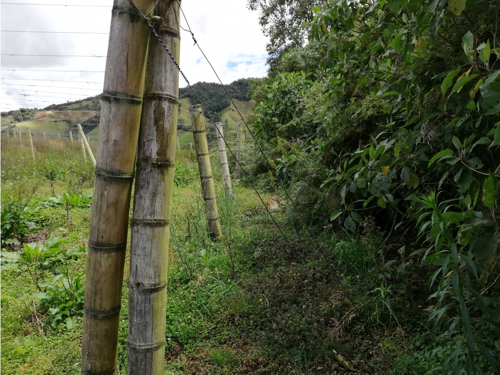 FINCA MULTIPROPÓSITO, LA UNIÓN, ANTIOQUIA