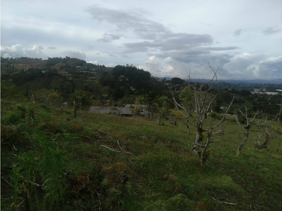 SE VENDE LOTE EN RIONEGRO ANTIOQUIA