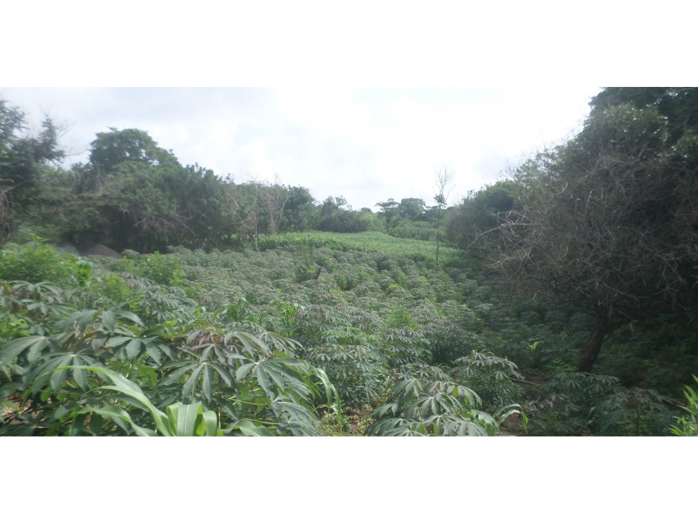 Venta lote en Santa Marta, Magdalena