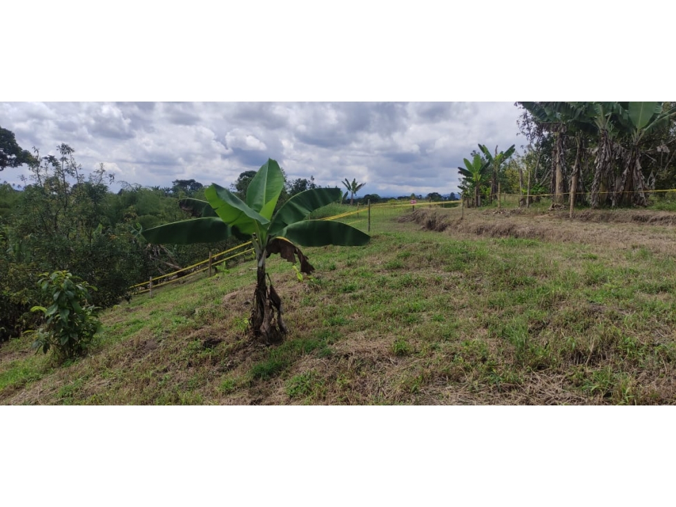 VENTA DE LOTES SALIDA ALCALA-CARTAGO