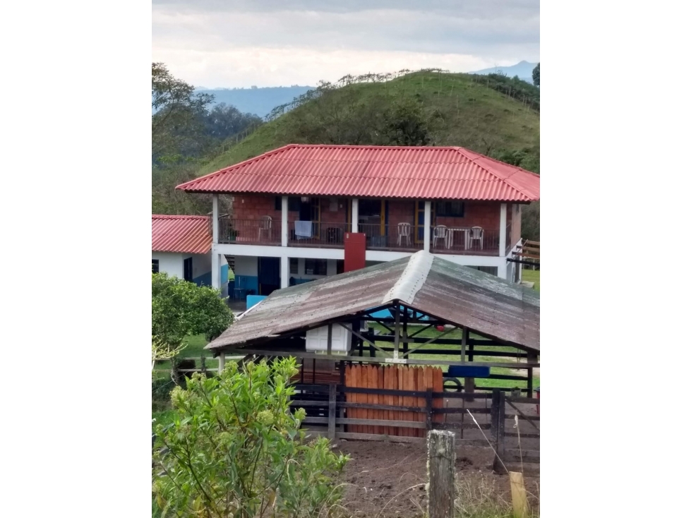 Se vende Finca Salento Quindío