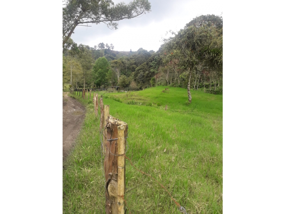 Se vende Finca En Navarco Salento Quindío