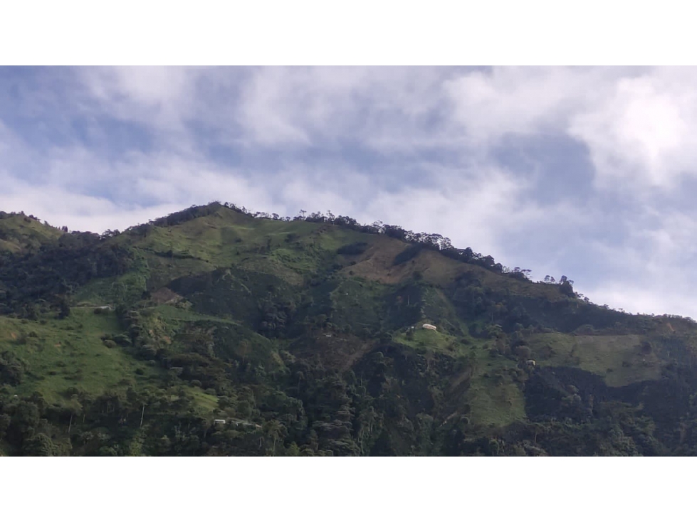 Se vende Finca Ibagué Tolima