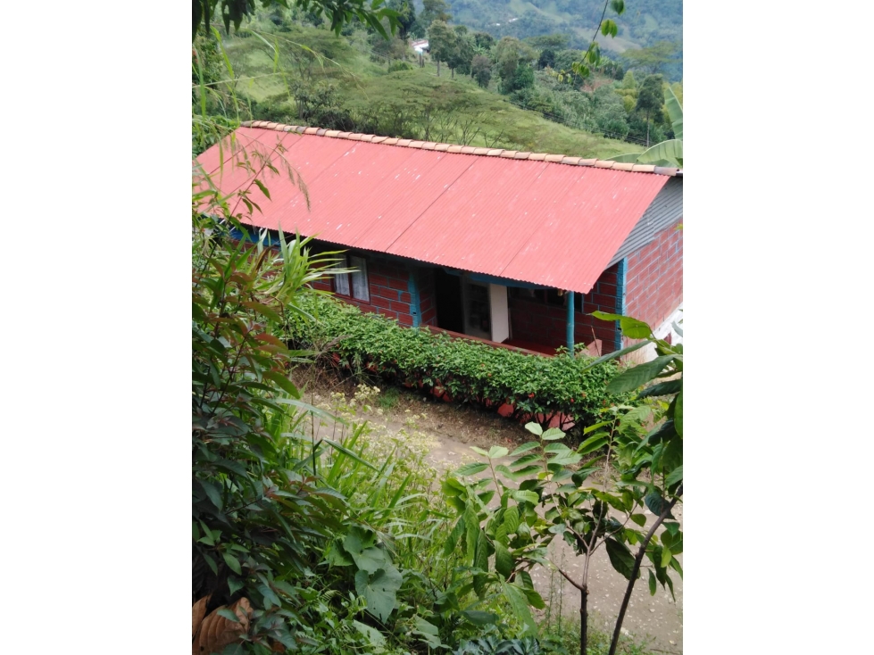 Se vende Finca Quinchía Risaralda