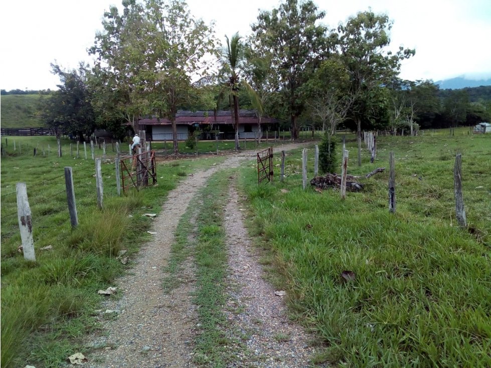 Se vende Finca Ganadera en Puerto Boyacá