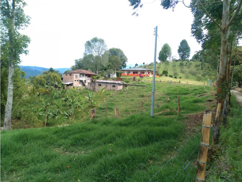 Se vende Finca en Canán Salento