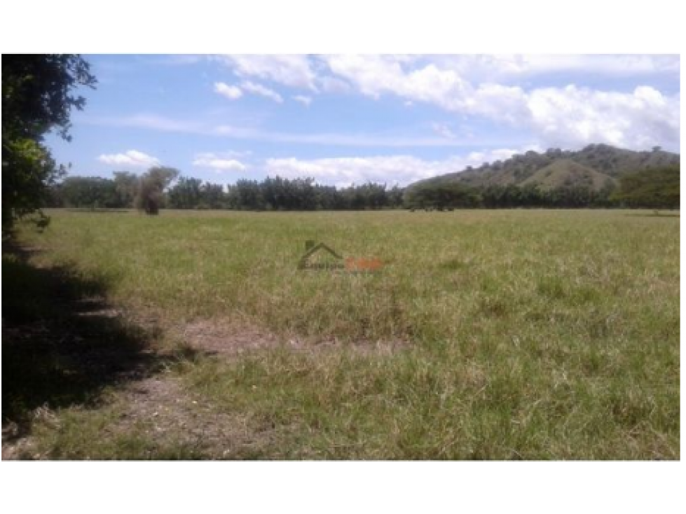 Venta Finca Candelaria, Valle, Cultivo de Caña