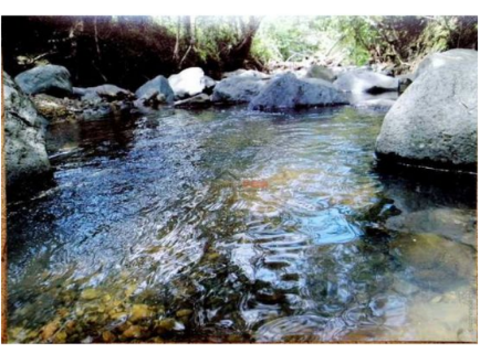 Vendo Finca en Riofrio, Valle del Cauca, Ganadera