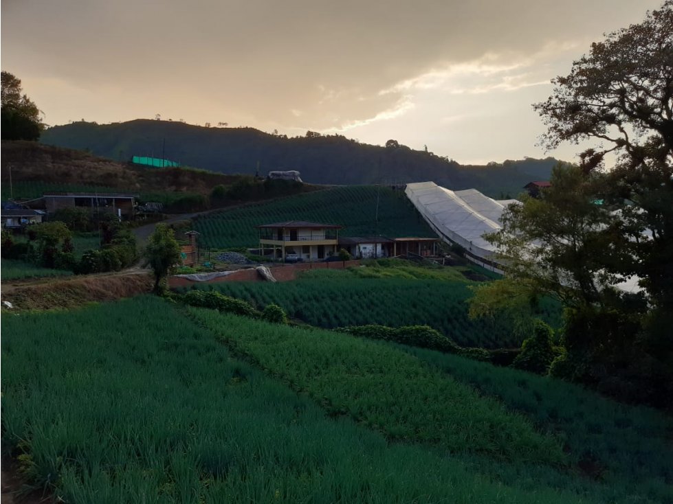 VENDO  FINCA EN LA FLORIDA