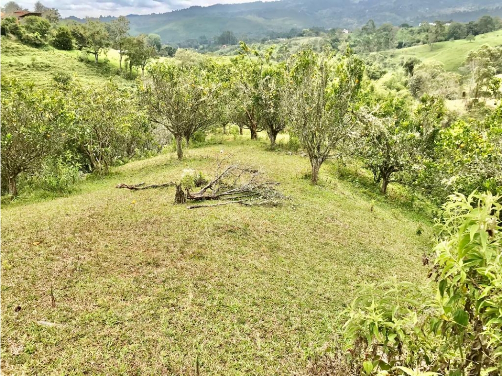 Lote campestre, agrícola Bitaco