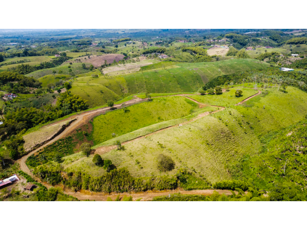 Lotes en venta vía Quimbaya - Alcalá