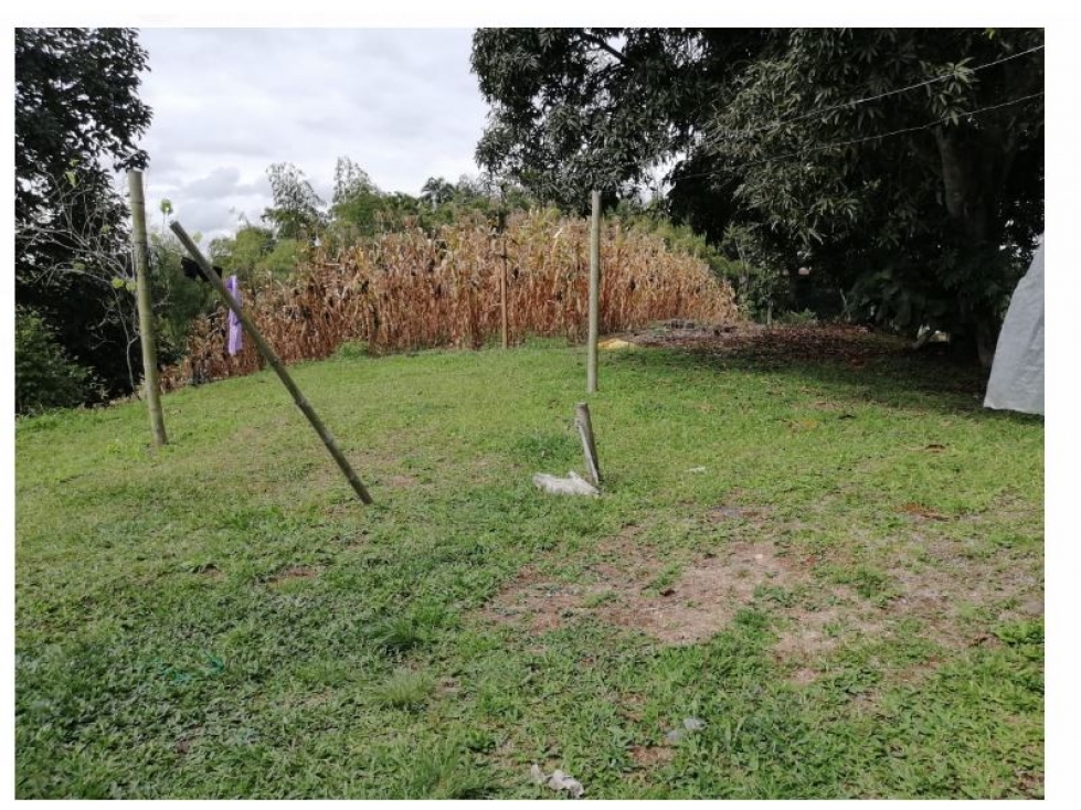 Finca en venta en Pereira Sector Combia /Cod 6140625