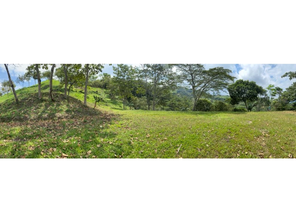 VENDO LOTES EN VEREDA BALSAL CERCA A ZONA URBANA DE VILLETA