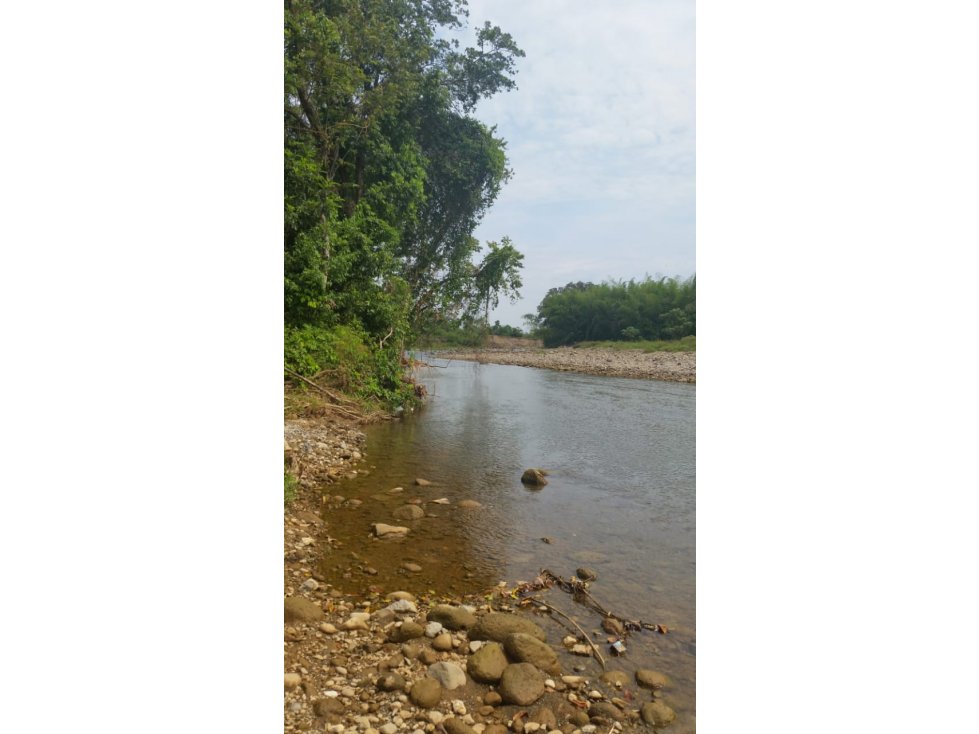 Oportunidad Venta Finca vía Armero - Guayabal,  Mariquita