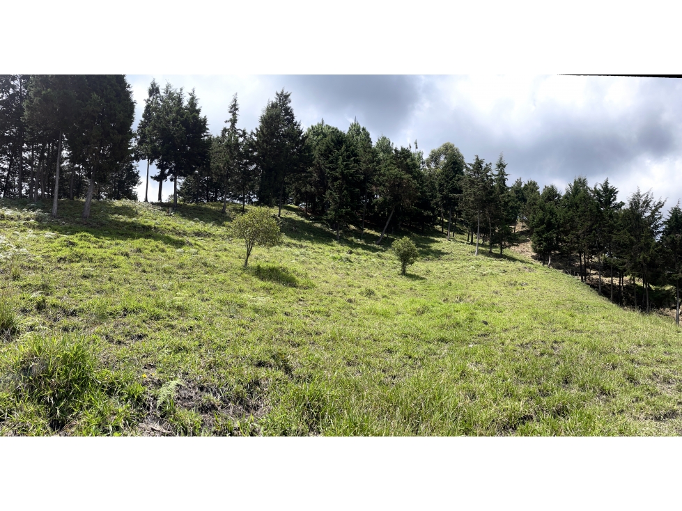 LOTE VENTA SECTOR CAMINO VERDE