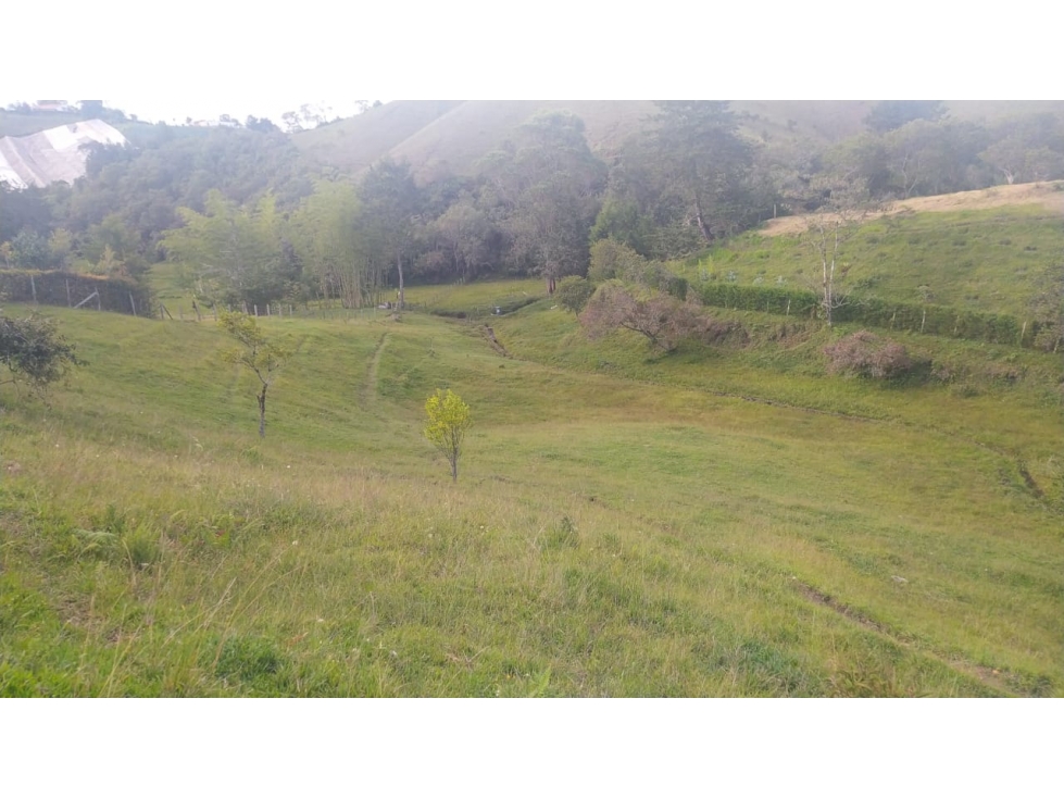 Venta 1 Lote de Terreno -Marinilla al Peñol, vereda Alto del Mercado