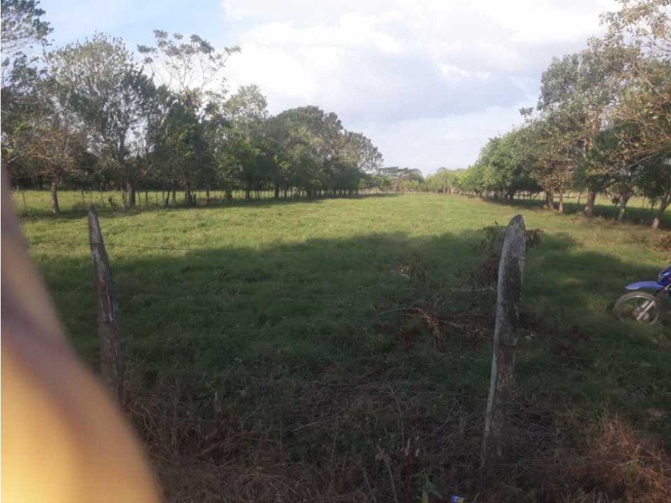 2 HECTÁREAS Y MEDIA CON CASA CAMPESTRE EN COROZA ARGENTINA