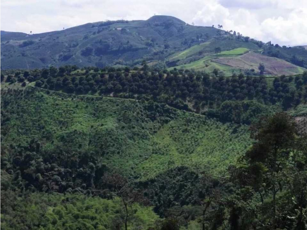 EN VENTA FINCA POR SANTA ROSA DE CABAL