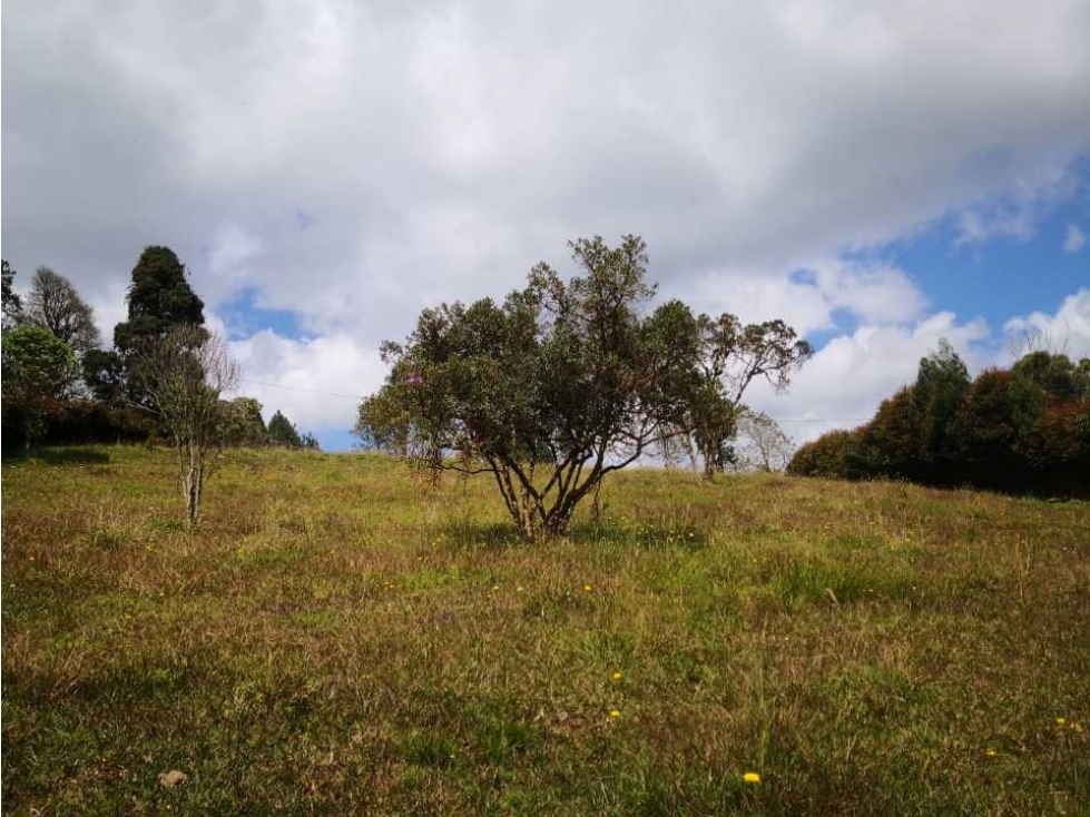 Lote independiente, con bosque, quebrada, senderos, hermosa vista!