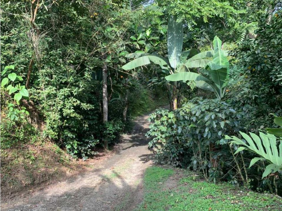 Finca de producción , ganaderia, árboles frutales, lagos de peces,