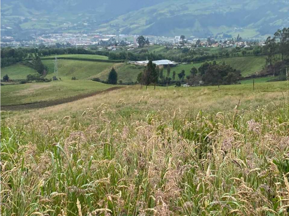 Finca en venta de oportunidad a 15 minutos de Pasto Nariño