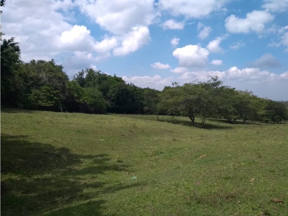 La Buitrera - Lote en venta (Palmira Valle del Cauca)