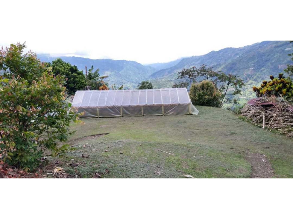 Se Vende Finca en Tolima