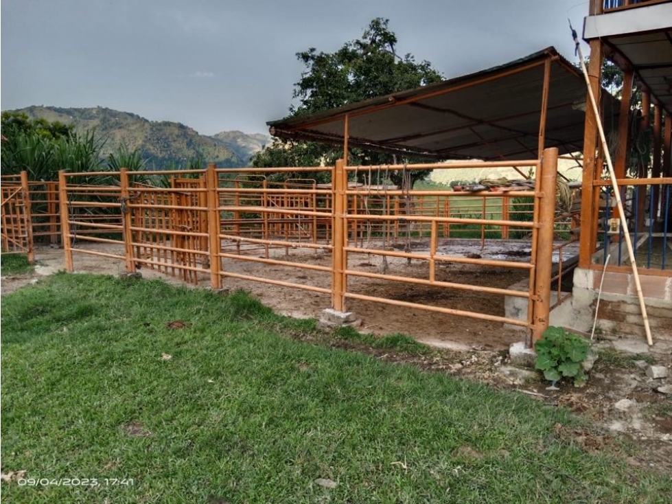 SE VENDE FINCA GANADERA EN NEIRA SECTOR TAREAS