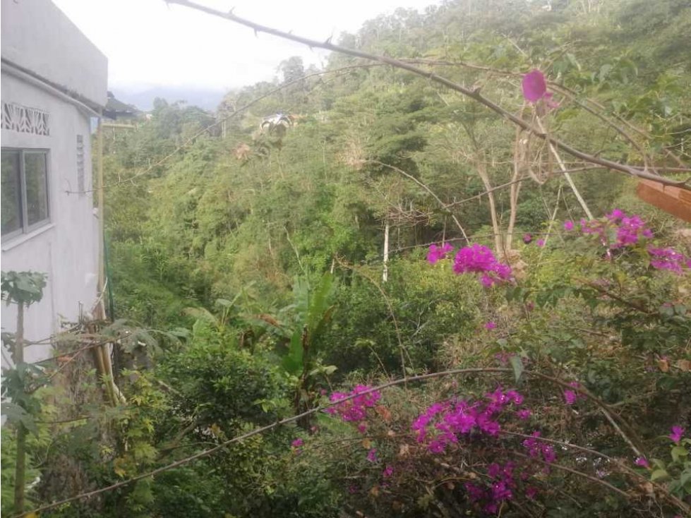 Se vende finca vía mesitas