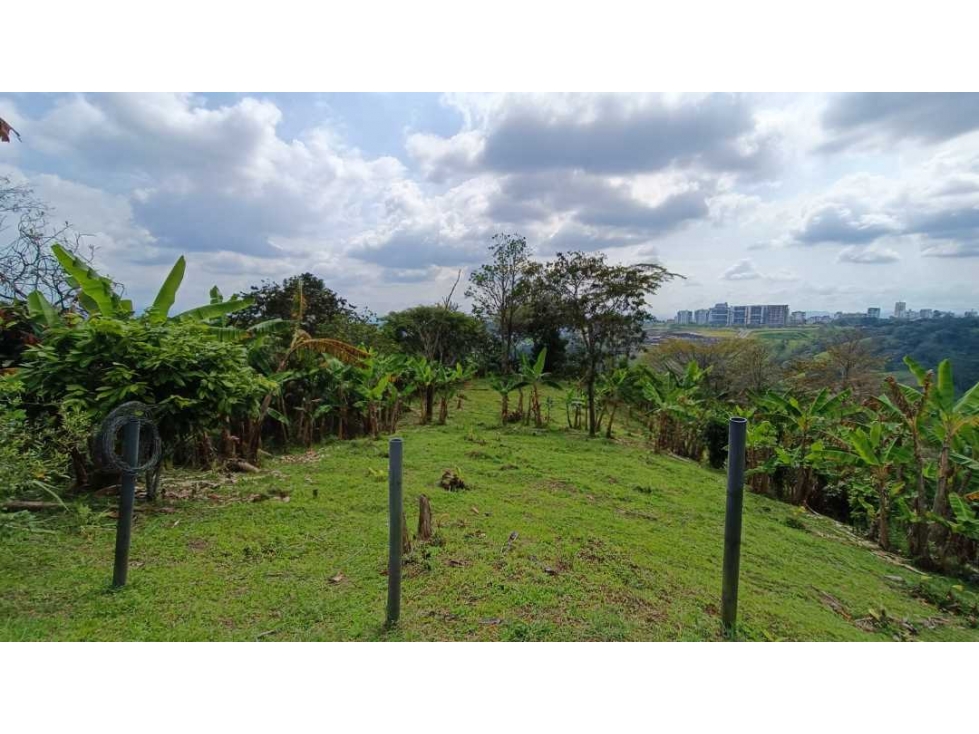 Se vende lote en la vía chaguala Armenia , Quindio