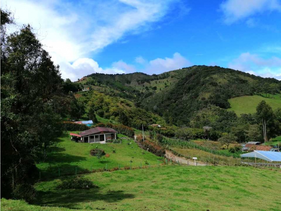 VENDO CASA DE CAMPO EN BELMIRA NORTE ANTIOQUIA