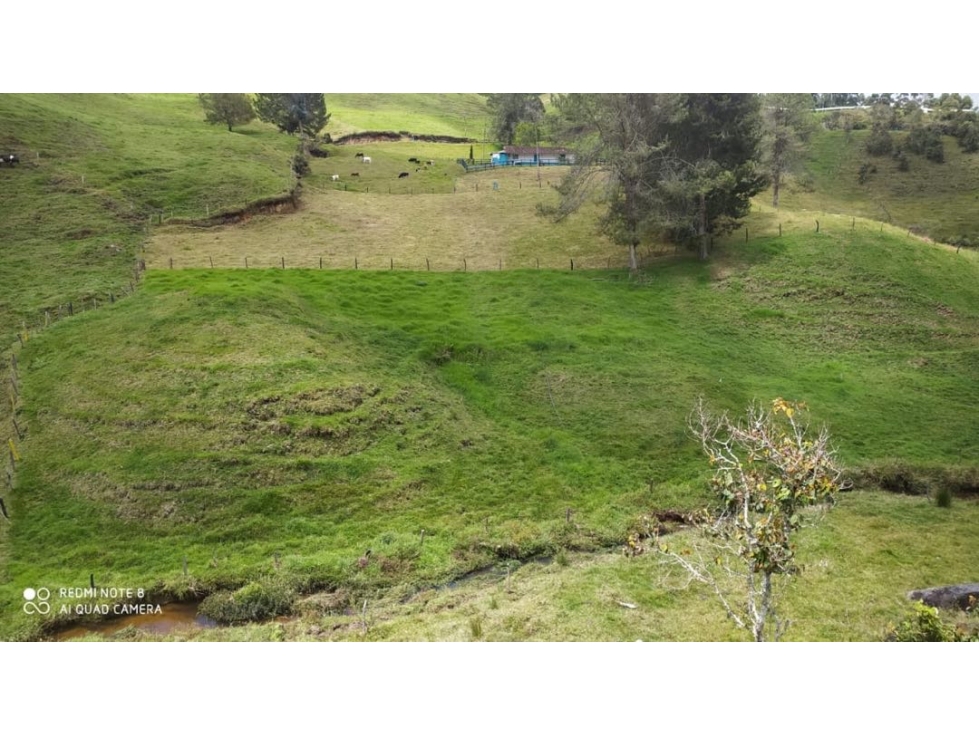 Vendo Finca de 3 hectáreas Agricola Vereda la Correa- Don Matias