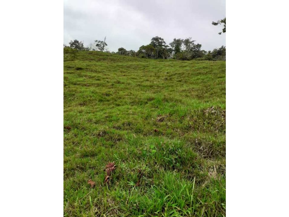 Vendo finca en san Rafael Antioquia