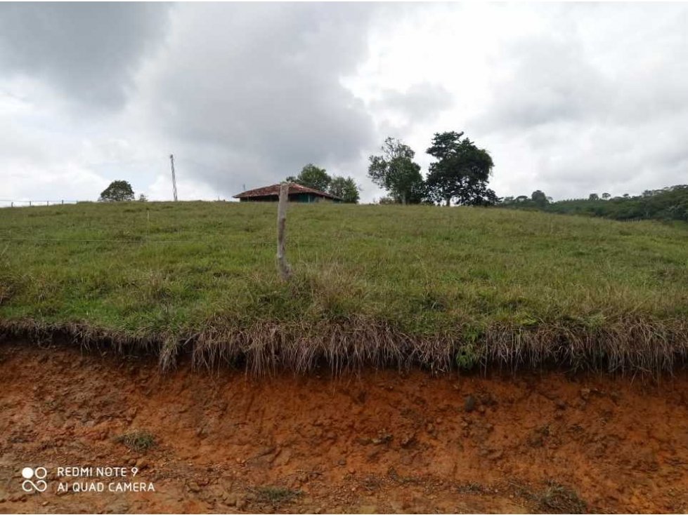 VENTA DE FINCA EN SANTANDER CHARALA NEGOCIABLE