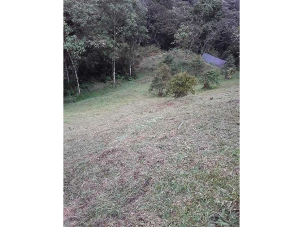 VENDO LOTE CERCA  A LA VEREDA PANTANILLO,ENVIGADO,3.000 MTS.