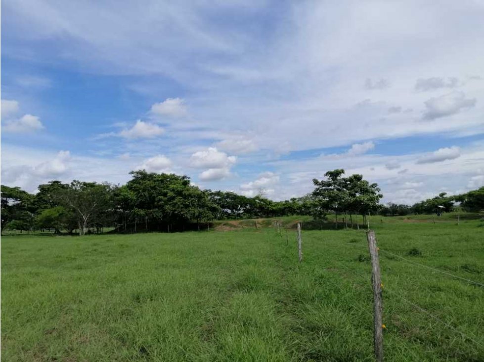 VENTA DE FINCA A DOS KILÓMETROS DE MONTERIA