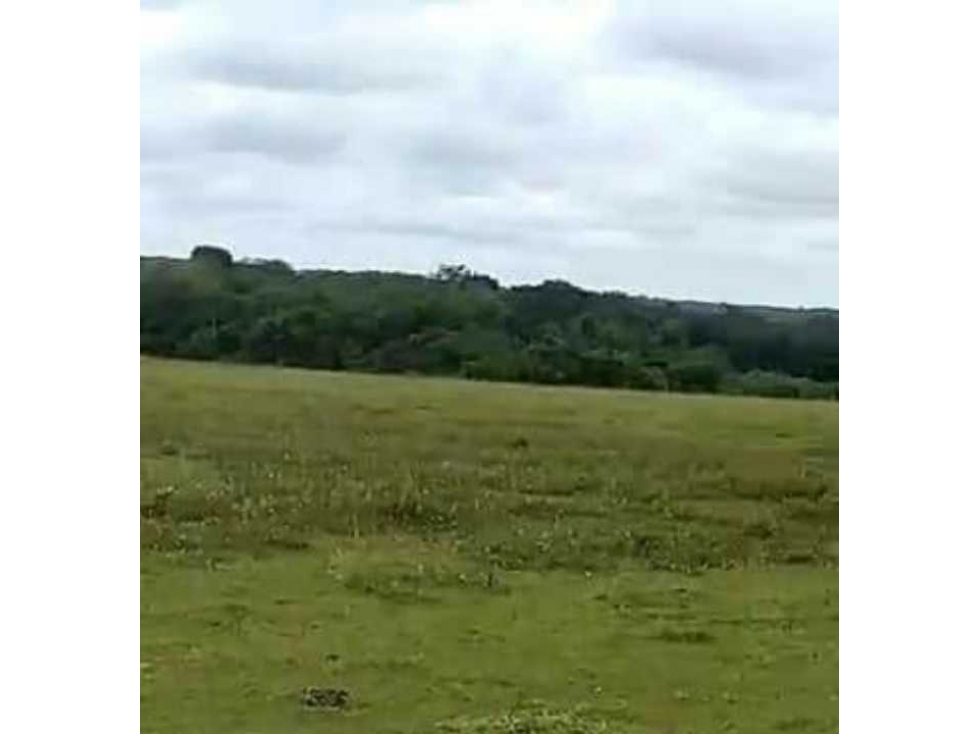 VENTA DE FINCA GANADERA  LLANOS ORIENTALES