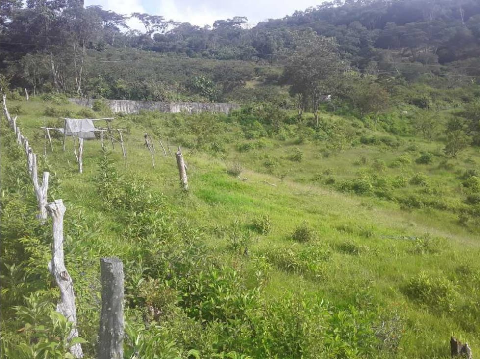 VENTA DE HERMOSA FINCA EN PUENTE NACIONAL SANTANDER VEREDA POPOA SUR